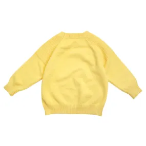 Cotton Knit Jumper, Pineapple