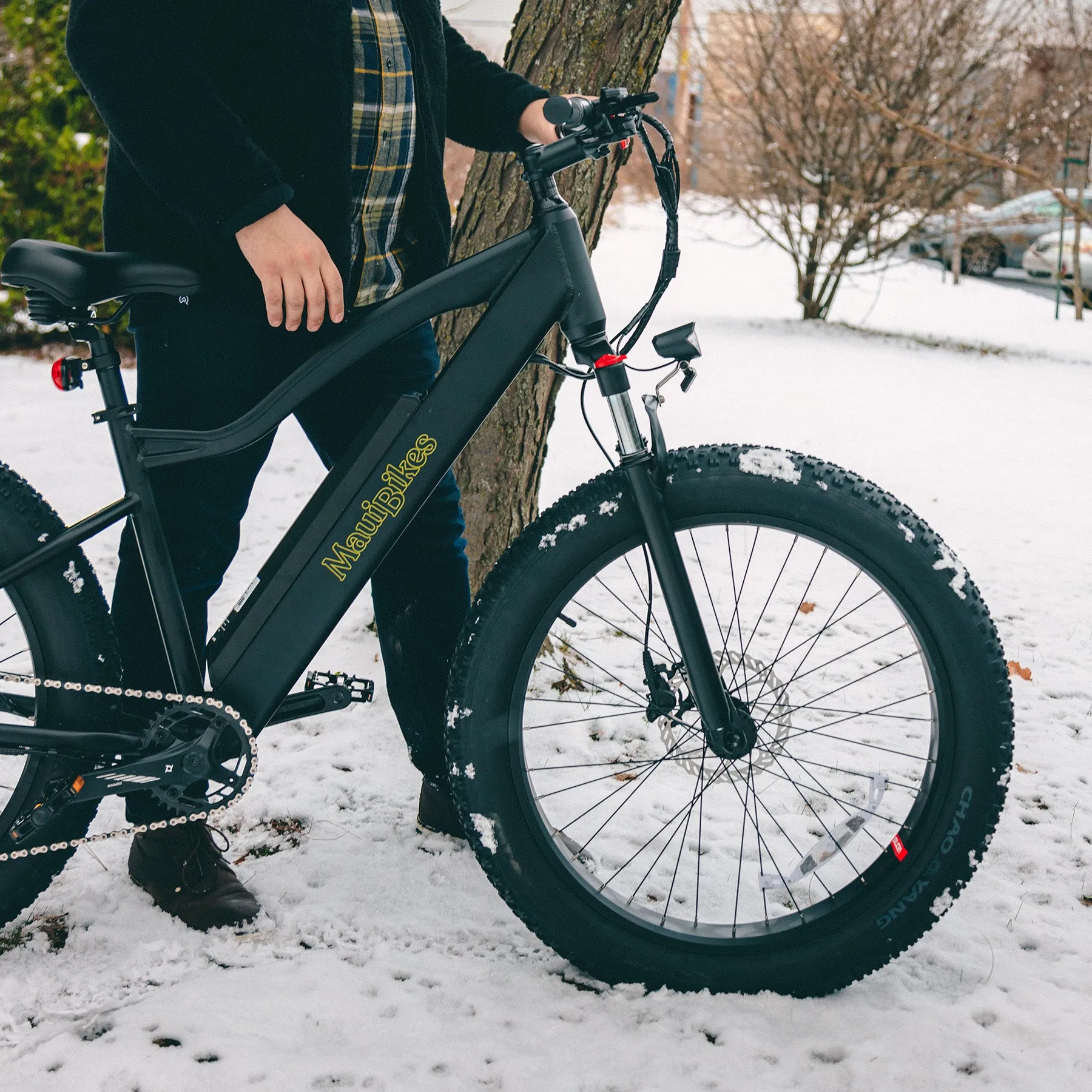 Electric fat bike