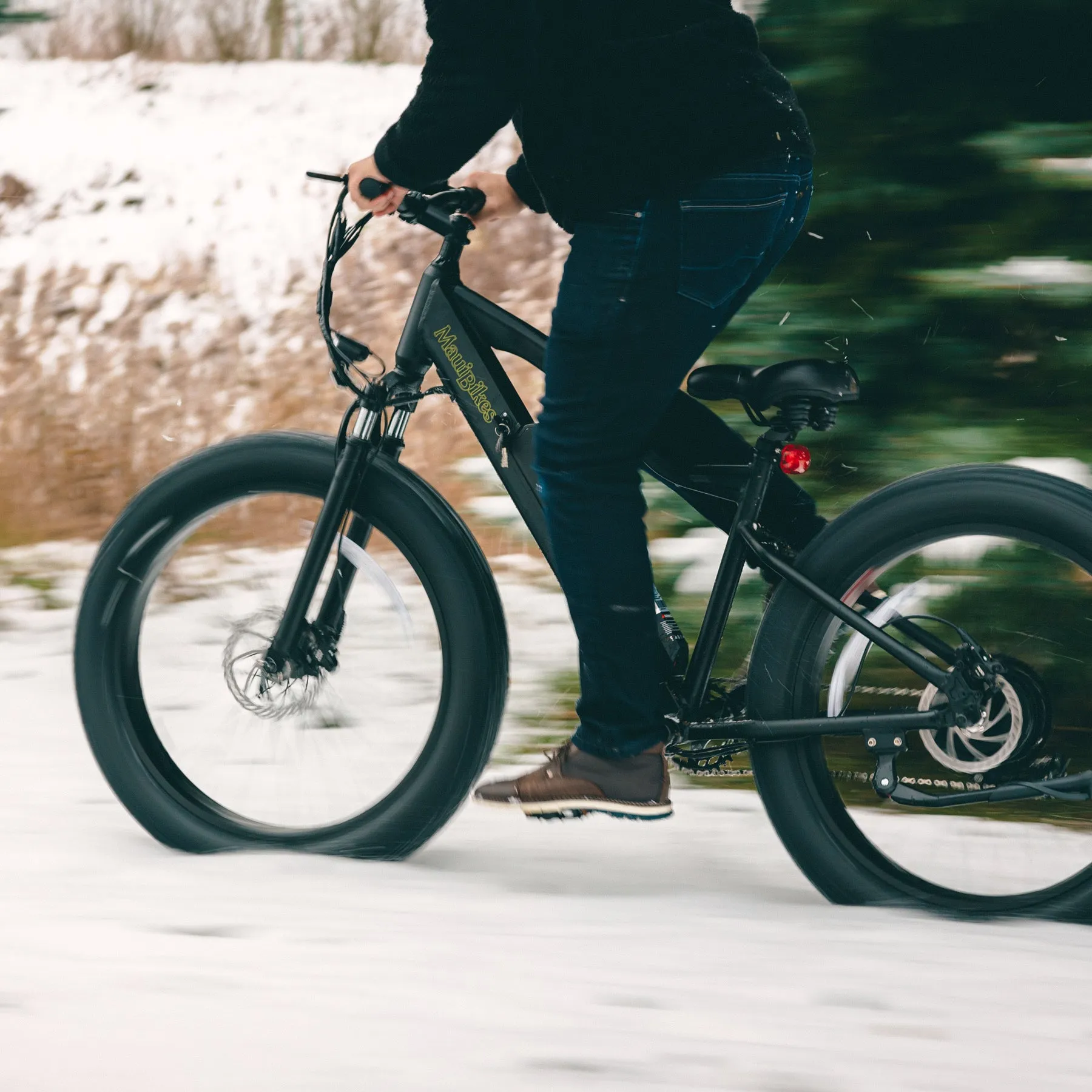 Electric fat bike