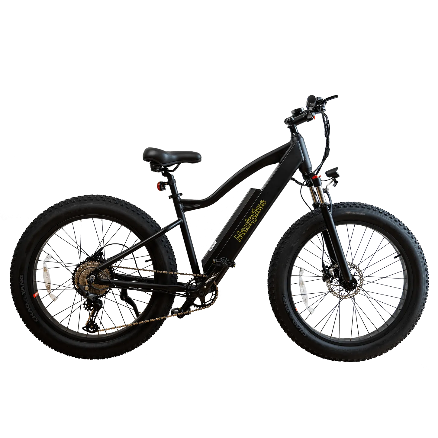 Electric fat bike