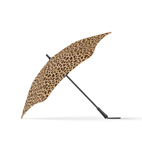 Leopard Safari
