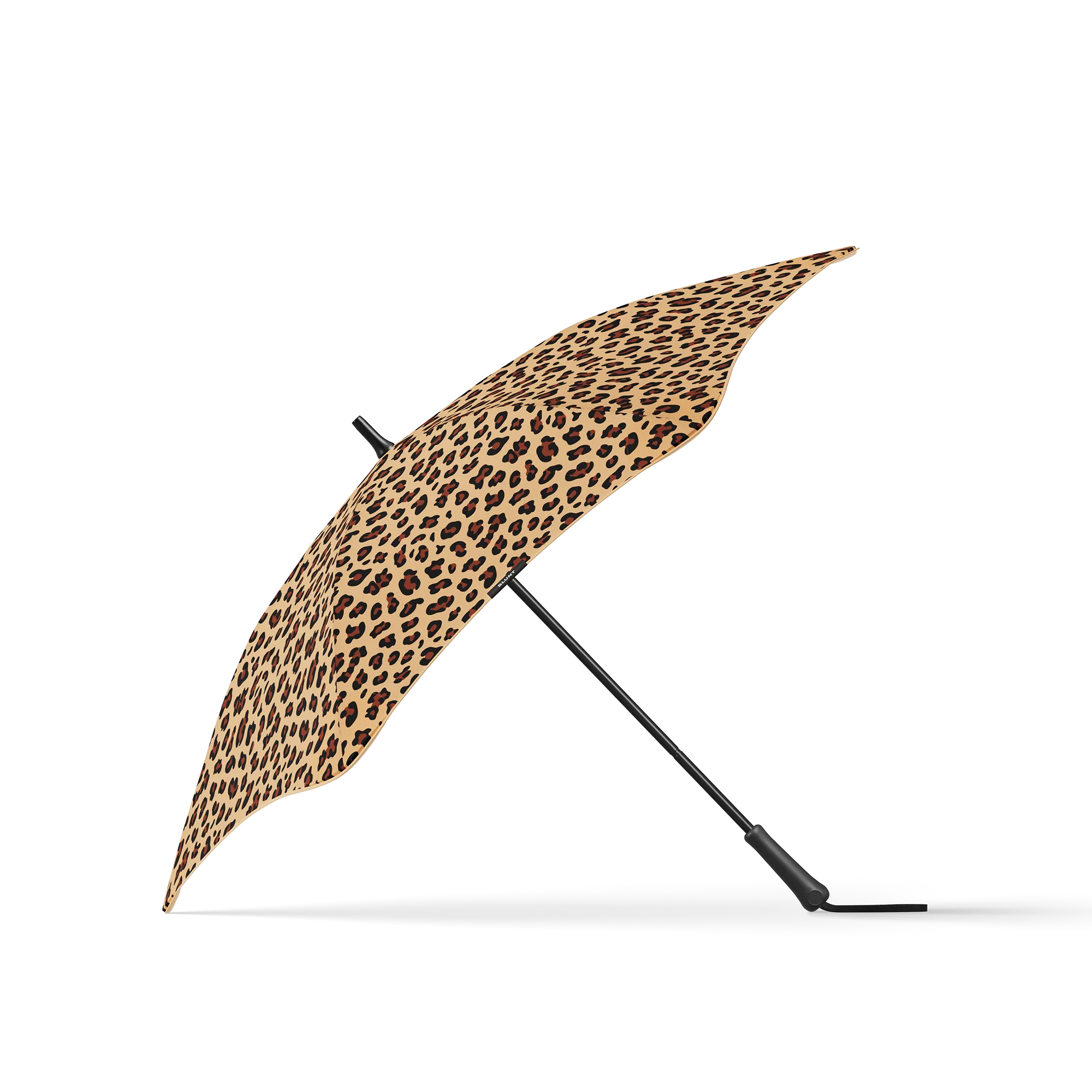 Leopard Safari