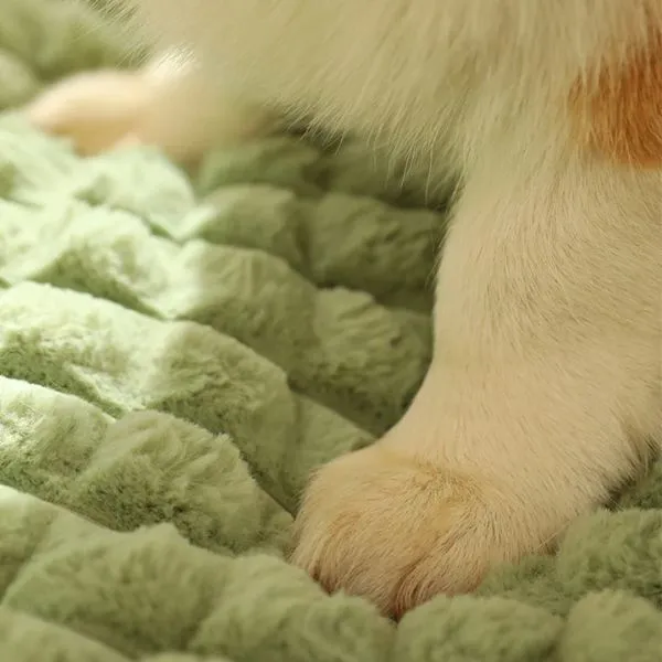 Winter Super Warm Thickened Washable Mat